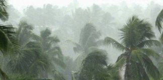 Heavy-rain-kerala_Malabar news