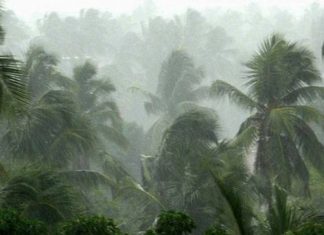 സംസ്ഥാനത്ത് വിവിധ ജില്ലകളിൽ ഇന്ന് ഒറ്റപ്പെട്ട മഴക്ക് സാധ്യത Heavy-rain-kerala_Malabar news