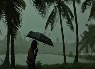 സംസ്ഥാനത്ത് ആറ് ജില്ലകളില് യെല്ലോ അലെര്ട്ട് പ്രഖ്യാപിച്ചു Heavy rain in kerala_Malabar news