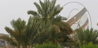 10 years imprisonment for tree cutting