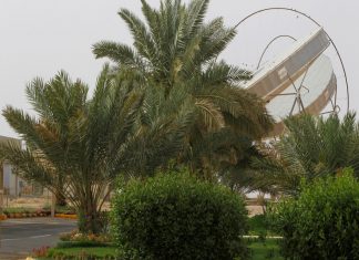 10 years imprisonment for tree cutting