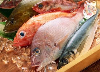 MalabarNews_frozen fish