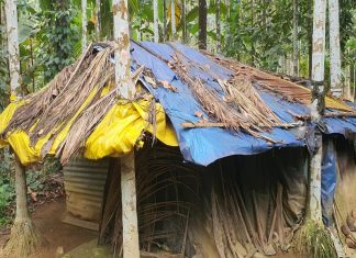കല്യാണിക്കൊരു വീട്; വനിതാലീഗ് നേതാവ് സുലയ്യയുടെ നേതൃത്വത്തിൽ പരിശ്രമം Kalyani Koora_Malabar News