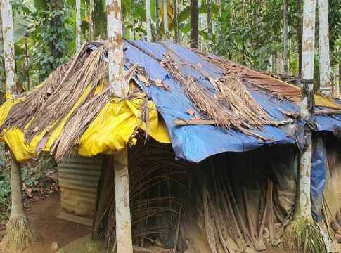 Kalyani Koora_Malabar News