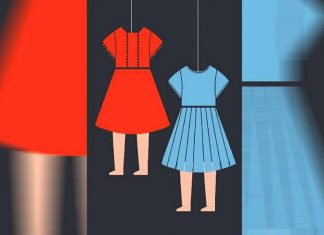 വാളയാർ കേസ് അട്ടിമറിക്കാൻ പോലീസ് ശ്രമം; പെൺകുട്ടികളുടെ അമ്മ MALABARNEWS-WALAYAR