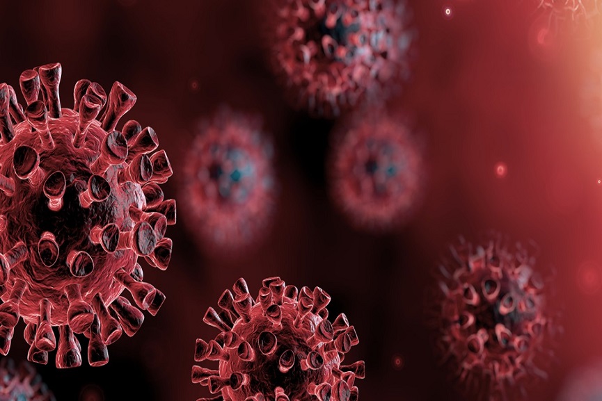 Malabarnews_covid update in india Malabarnews_covid updates in india