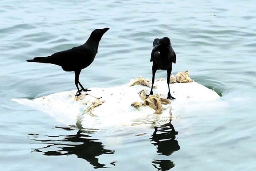 Waste dump in river_Malabar news Waste dump in river_Malabar news