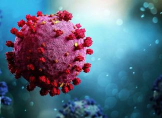 เดเดฟเดฒเตเดฒเดฏเดฟเดฒเตโ เดเดจเตเดจเต 641 เดชเตเดฐเตโเดเตเดเต เดเตเดเดฟ เดเตเดตเดฟเดกเต เดธเตโเดฅเดฟเดฐเตเดเดฐเดฟเดเตเดเต Malabarnews_covid in india