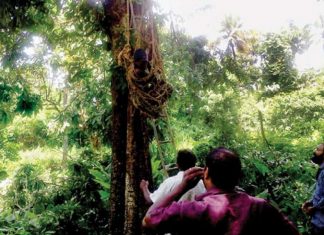 Representational Image_Malabar News