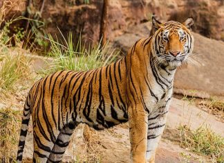 malabar image_malabar news