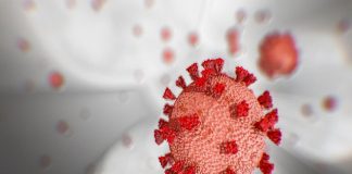 വയനാട്ടില് കോവിഡ് ബാധിച്ചു രണ്ട് മരണം കൂടി Malabarnews_covid death