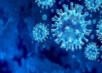 lokajalakam image_malabar news