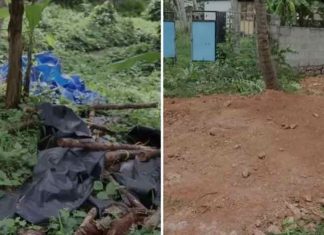 കഴക്കൂട്ടത്ത് അമ്മയെയും പെൺമക്കളെയും ഇറക്കിവിട്ട് ഷെഡ് പൊളിച്ചു; നടപടിയെടുക്കാതെ പോലീസ് mother-and-children-evicted-from-house