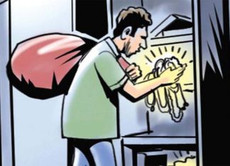 മലബാർ മേഖലയിൽ പതിവായി മോഷണം നടത്തിയിരുന്ന തമിഴ്നാട് സ്വദേശി പിടിയില്