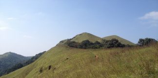 കത്തിക്കരിഞ്ഞ് റാണിപുരം; കാട്ടുതീ തടയാന് പുല്മേട് കത്തിച്ച് വനംവകുപ്പ് Ranipuram