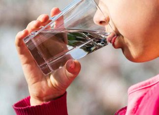 Malabar-News_shigella-spread-from-water