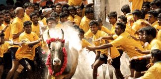 ജല്ലിക്കട്ട് നടത്താന് അനുമതി; കോവിഡ് പ്രോട്ടോക്കോള് പാലിക്കണമെന്ന് നിര്ദേശം Malabarnews_jallikkattu