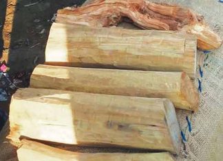 sandalwood marayoor idukki