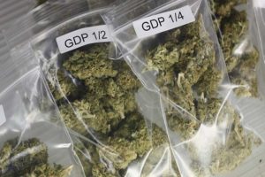 cannabis caught
