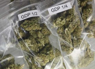 cannabis caught
