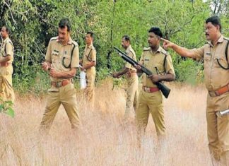വനംവകുപ്പ് തുരത്തിയ കാട്ടാനക്കൂട്ടം തിരികെയെത്തി; പിന്നാലെ പുലിയും Operation Gaja