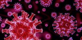 Malabarnews_malappuram