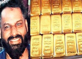സ്വർണക്കടത്ത്; റബിൻസിന്റെ കൊഫെപോസ റദ്ദാക്കണമെന്ന ഹരജി കോടതി തള്ളി consulate gold smuggling case