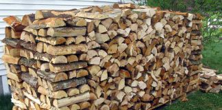 വിറകുകൾ വിൽക്കാൻ ശ്രമം; ഇന്ത്യക്കാരടക്കം 69 പേർ പിടിയിൽ, 188 വാഹനങ്ങൾ പിടിച്ചെടുത്തു Malabar-News_FireWood