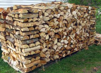 വിറകുകൾ വിൽക്കാൻ ശ്രമം; ഇന്ത്യക്കാരടക്കം 69 പേർ പിടിയിൽ, 188 വാഹനങ്ങൾ പിടിച്ചെടുത്തു Malabar-News_FireWood