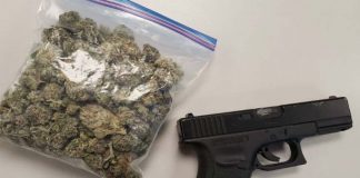 ഏഴര കിലോ കഞ്ചാവും പിസ്റ്റളും പിടികൂടി