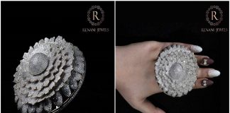 12,638 വജ്രങ്ങള് കൊണ്ട് മോതിരം നിര്മ്മിച്ച് റെക്കോര്ഡ് നേടി ഇന്ത്യന് യുവാവ്