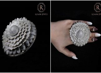 12,638 വജ്രങ്ങള് കൊണ്ട് മോതിരം നിര്മ്മിച്ച് റെക്കോര്ഡ് നേടി ഇന്ത്യന് യുവാവ്