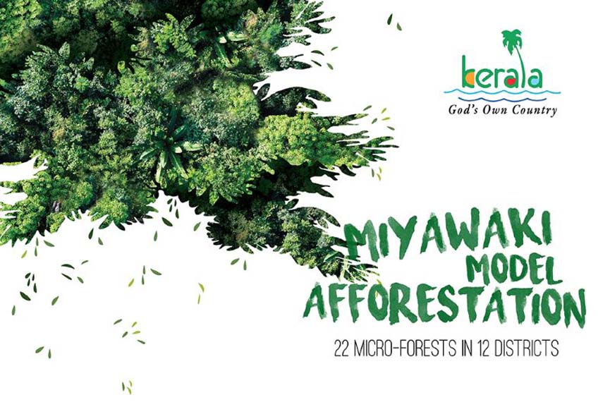 Malabar News_Miyawaki Kerala