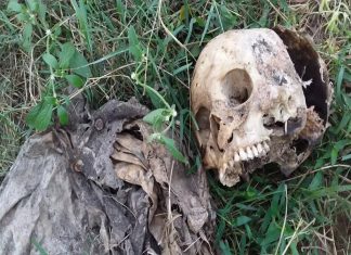 Iritty_news_Malabar news