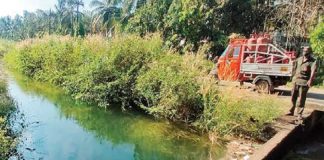 കാഞ്ഞിരപ്പുഴ കനാൽ ചോർച്ച; കർഷകർ പ്രതിസന്ധിയിൽ malabarnews-kanjirappuzha