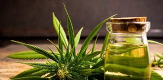 കഞ്ചാവിനെ ഗുരുതര ലഹരികളുടെ പട്ടികയില് നിന്ന് ഒഴിവാക്കി ‘ഐക്യരാഷ്ട്രസഭ’ MalabarNews_marijuana