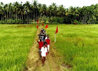 malabarnews-vayalkkili