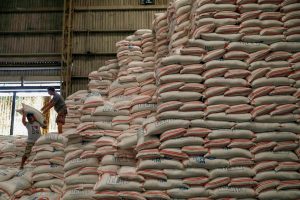rice_malabar news