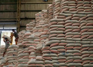rice_malabar news