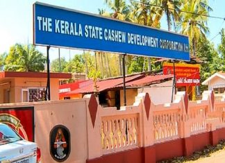 കശുവണ്ടി കോർപറേഷൻ അഴിമതി; കുറ്റപത്രം നൽകാൻ ഉത്തരവിടണമെന്ന് ആവശ്യപ്പെട്ട് സിബിഐ kscdc scam