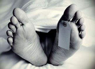 Malabarnews_palakkad