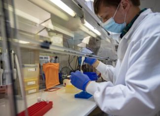 കോവിഡ് ബാധ പുരുഷൻമാരിൽ ബീജോൽപ്പാദന ശേഷി കുറക്കുമെന്ന് പഠനം covid research