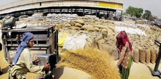 കർഷക പ്രക്ഷോഭം തുടരുന്നതിനിടെ പഞ്ചാബിലെ ധാന്യ സംഭരണ കേന്ദ്രങ്ങളിൽ സിബിഐ റെയ്ഡ്