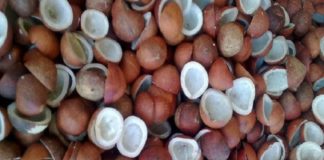 kopra-