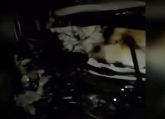 തോട്ടയ്ക്കാട് വാഹനാപകടം; രക്ഷാപ്രവർത്തനം വൈകി; ലോറി ഡ്രൈവർ കസ്റ്റഡിയിൽ Thottakkad Accident