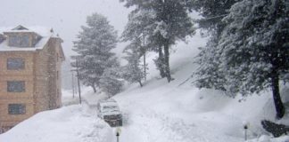 snowfall in kashmir