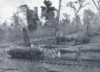 ചാലക്കുടിയുടെ ചരിത്രമുറങ്ങുന്ന ട്രാംവേ; മ്യൂസിയത്തിന്റെ സജ്ജീകരണ ഉല്ഘാടനം നിര്വഹിച്ചു