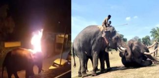 เดฎเดธเดฟเดจเดเตเดกเดฟเดฏเดฟเดฒเตโ เดเดพเดเตเดเดพเดจเดฏเต เดคเต เดเตเดณเตเดคเตเดคเดฟ เดเตเดจเตเดจเต; เดเตเดเตเด เดเตเดฐเตเดฐเดค