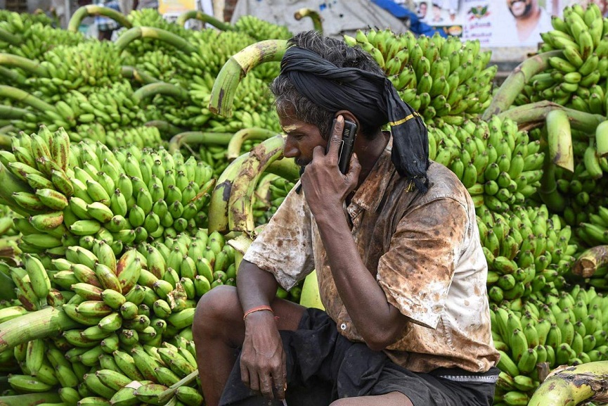 banana farmers banana farmers