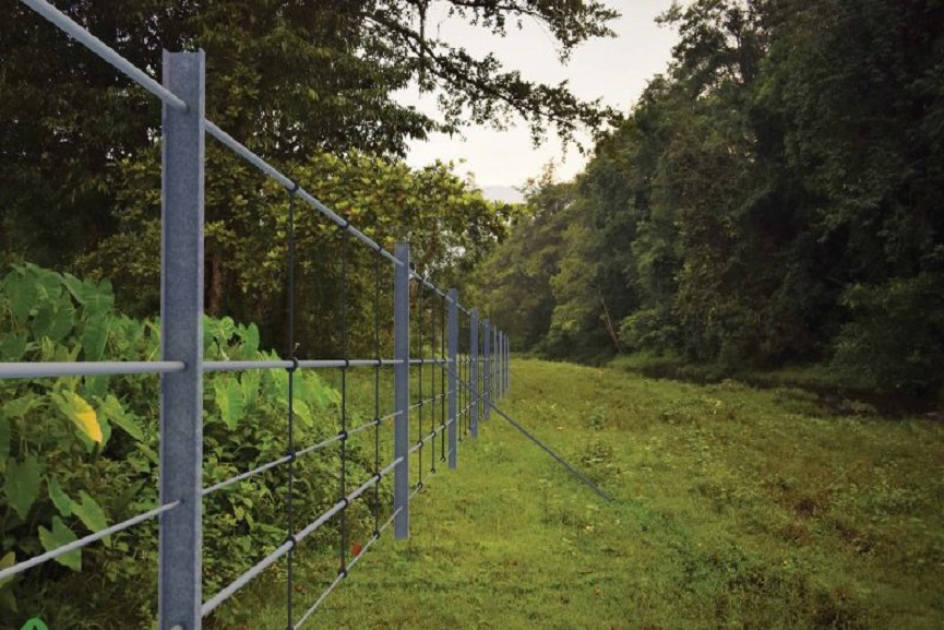 kasargod news kasargod news